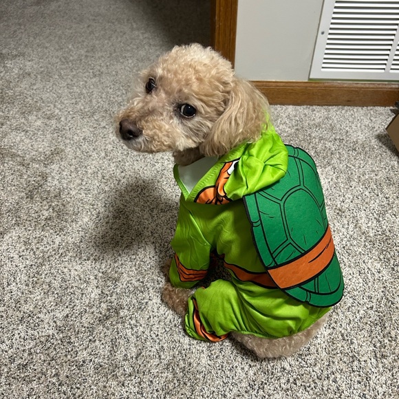 Rubie's Other - Teenage Mutant Ninja Turtles Small Dog Costume Green and Orange Costume
